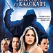 International DVD