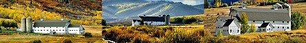 McPolin Farm