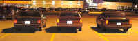 Rears2_84SS87LS88SS_Flash.jpg (39133 bytes)