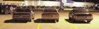 Rears3_84SS87LS88SS.jpg (37471 bytes)
