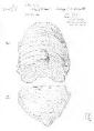 Actual Size of Drawing : A4 ( 297mm x210mm )