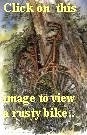 Click on this image to view a still life of a disused bicycle