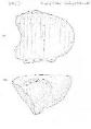Actual Size of Drawing : A4 ( 297mm x210mm )