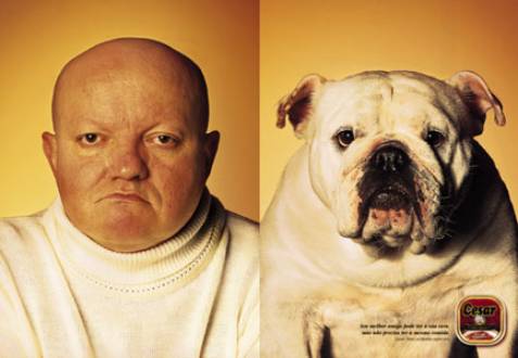lord_dog
