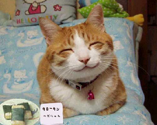 I_am_happy