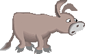 Uncover the Donkey!
