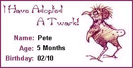 pete