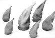 A flock