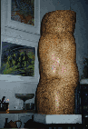 A torso