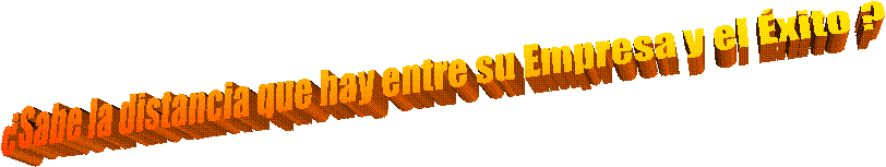 �Sabe la distancia que hay entre su Empresa y el �xito ?