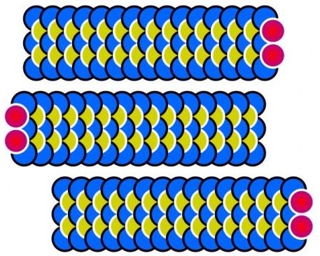 GUSANITOS