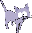 Kitty