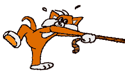 /user/Welcome_cat.gif
