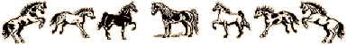 /user/horsebar2.gif