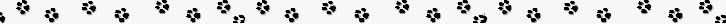 /user/line0026.gif
