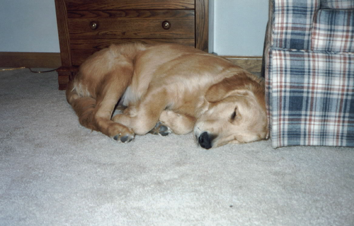 What a tough life, ain't it?!