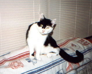 Awww.. Tom Shmom! You love your Aunt Barb, don't ya?! Hey.. stop eating my hair!!&nbsp; ;^)