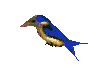 3D_bird.gif