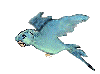 Parrot_flying.gif