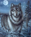 Wildlife And Kids Animals Designs