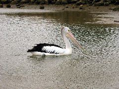 IMG_1963