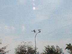 IMG_1967