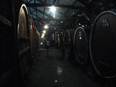 IMG_1637