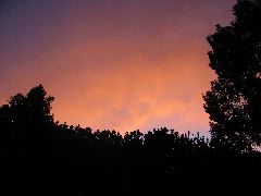 IMG_1679