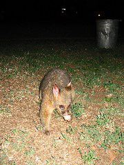 IMG_1686