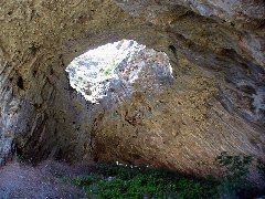 IMG_1699
