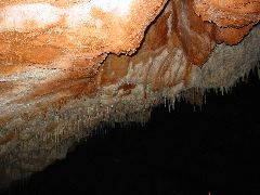 IMG_1711