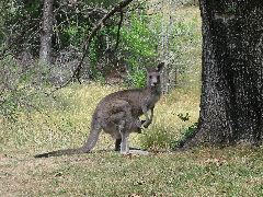 IMG_1729