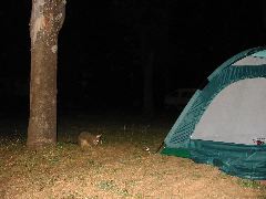 IMG_1626
