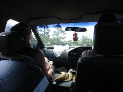 IMG_1845