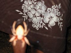 IMG_1893