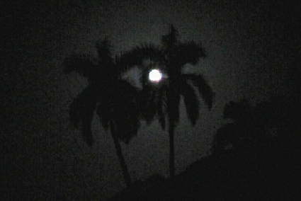 Luna (72 Kb/jpg)