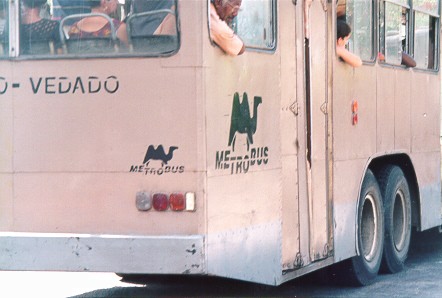 Metrobus (36 Kb/jpg)