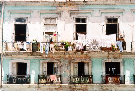 Sabanas (50 Kb/jpg)