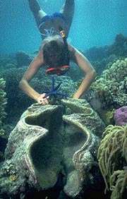 Tours and Excursions