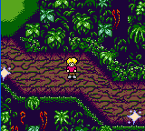 Excuse me, I'm lost. I was wandering around this place called Magi-Nation, and I somehow stumbled into the swamp from Crystalis...