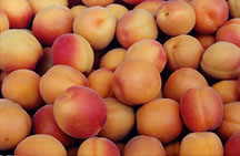 apricots