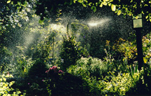 aquagarden