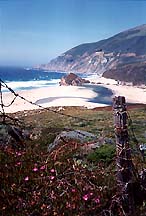 bigsur2-1993