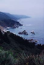 bigsurv1-2000
