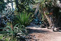 cactihuntington