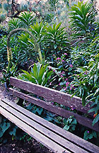 gardenstrybingarb