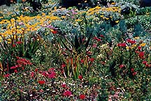 gggarden0500
