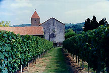 vignedelaliberte