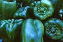 peppersgrnbell