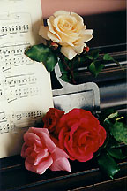 rosepianomusic1